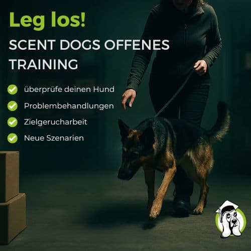 Profi-Einsatztrainings Spürhunde