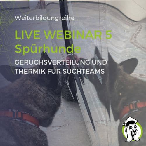 Spürhunde Webinar 5 -Geruchsverteilung und Thermik Spürhunde Arbeit