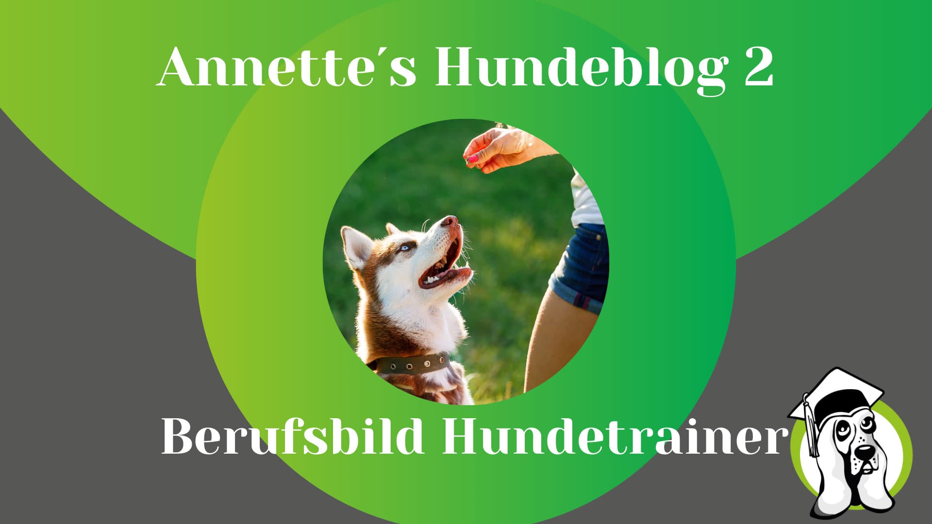 Berufsbild-Hundetrainer.jpg
