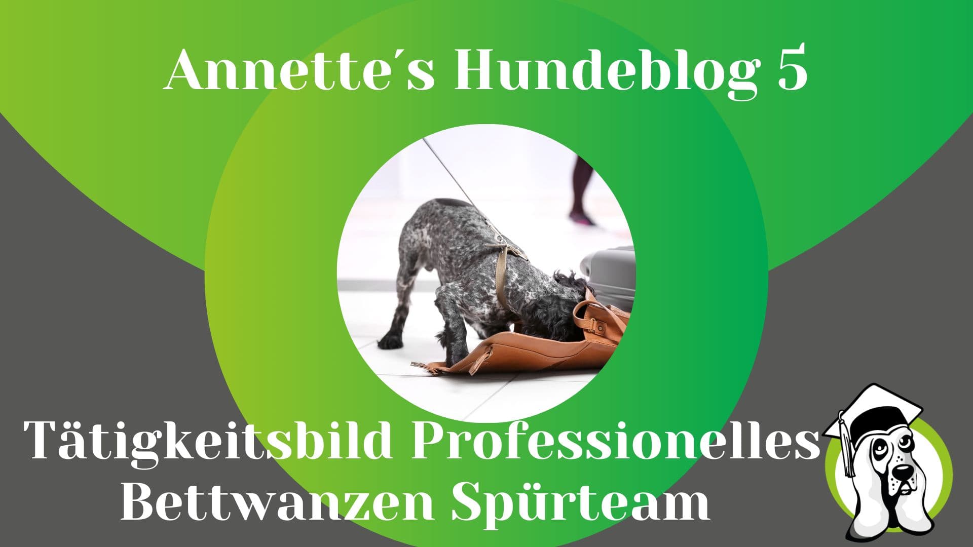 Blog-Profi-1.jpg