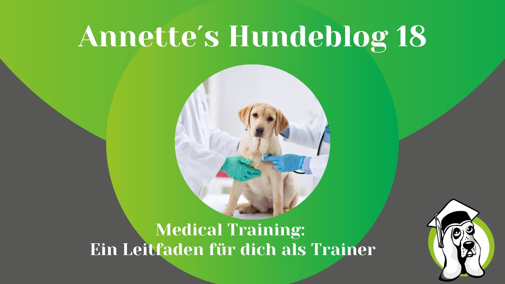 Blog-Profi-10.jpg