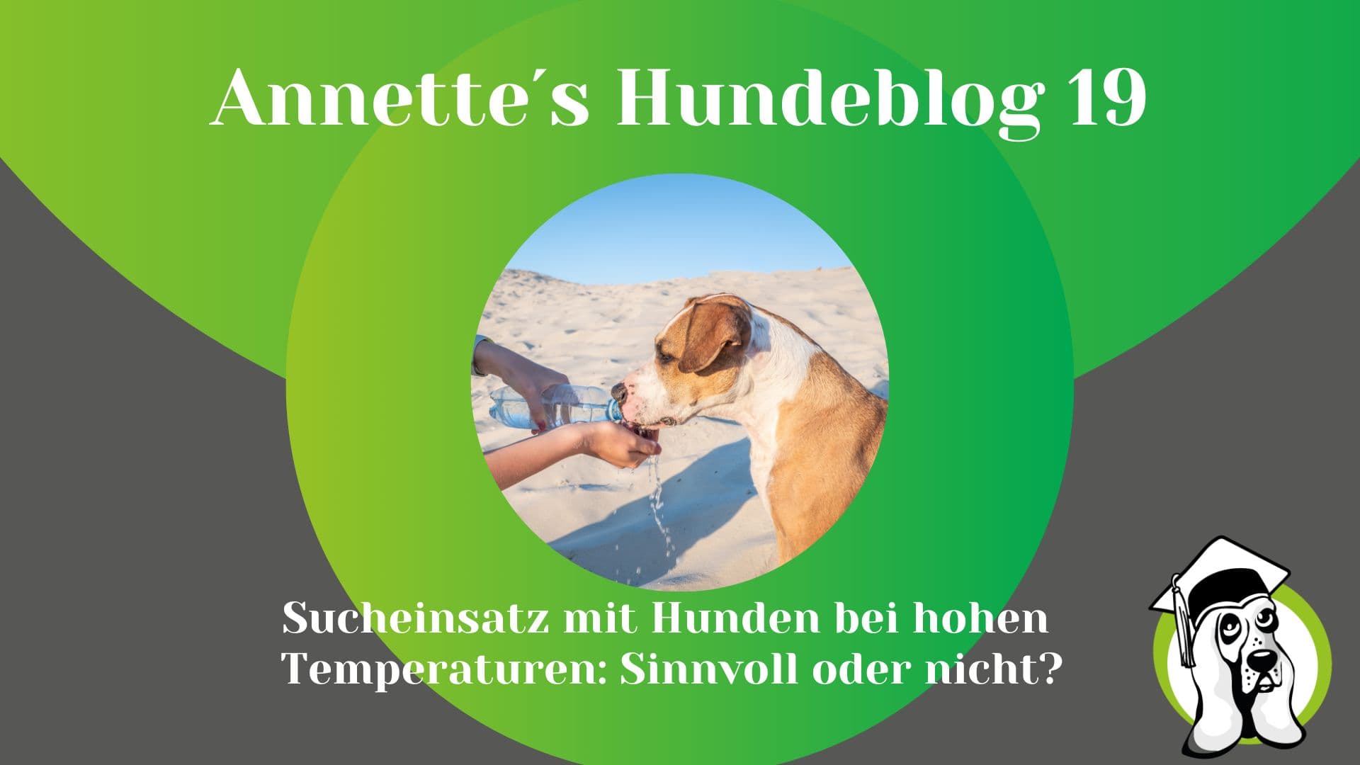 Blog-Profi-11.jpg
