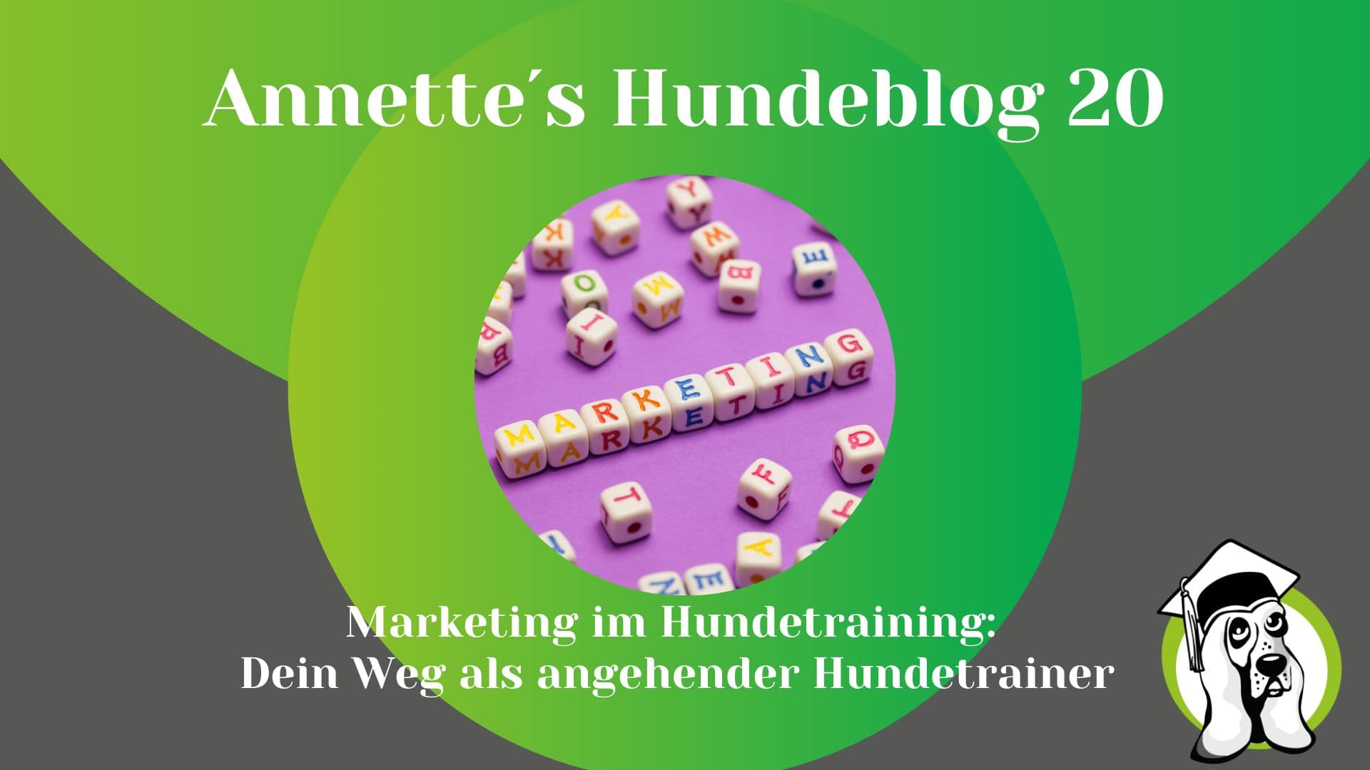 Blog-Profi-12.jpg