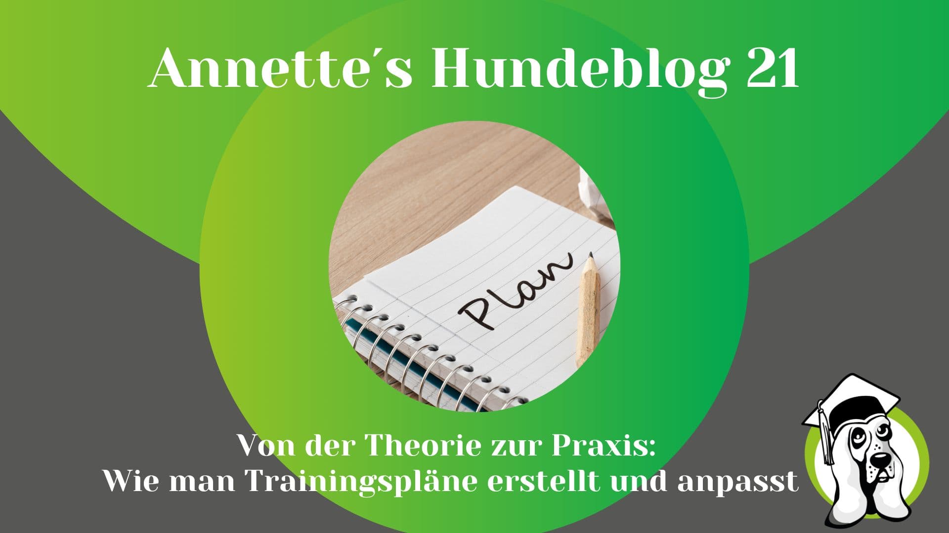 Blog-Profi-13.jpg