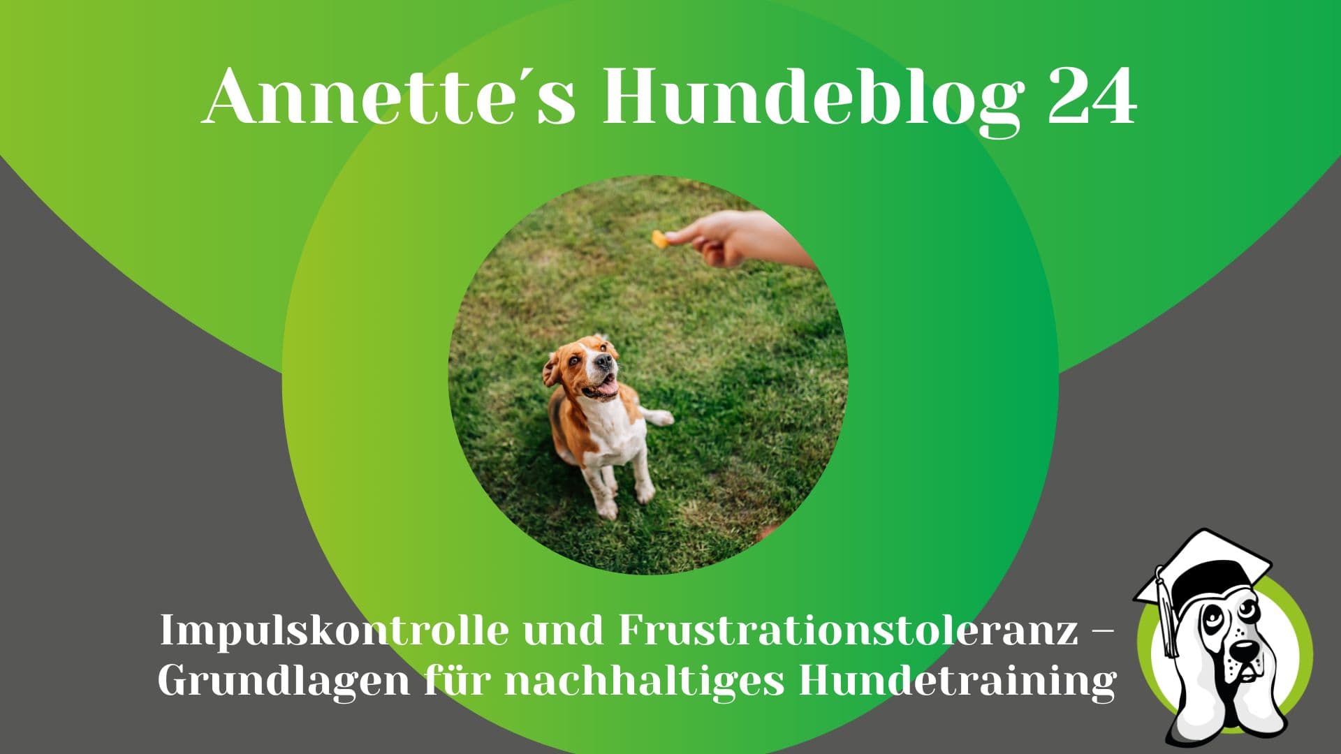 Blog-Profi.jpg