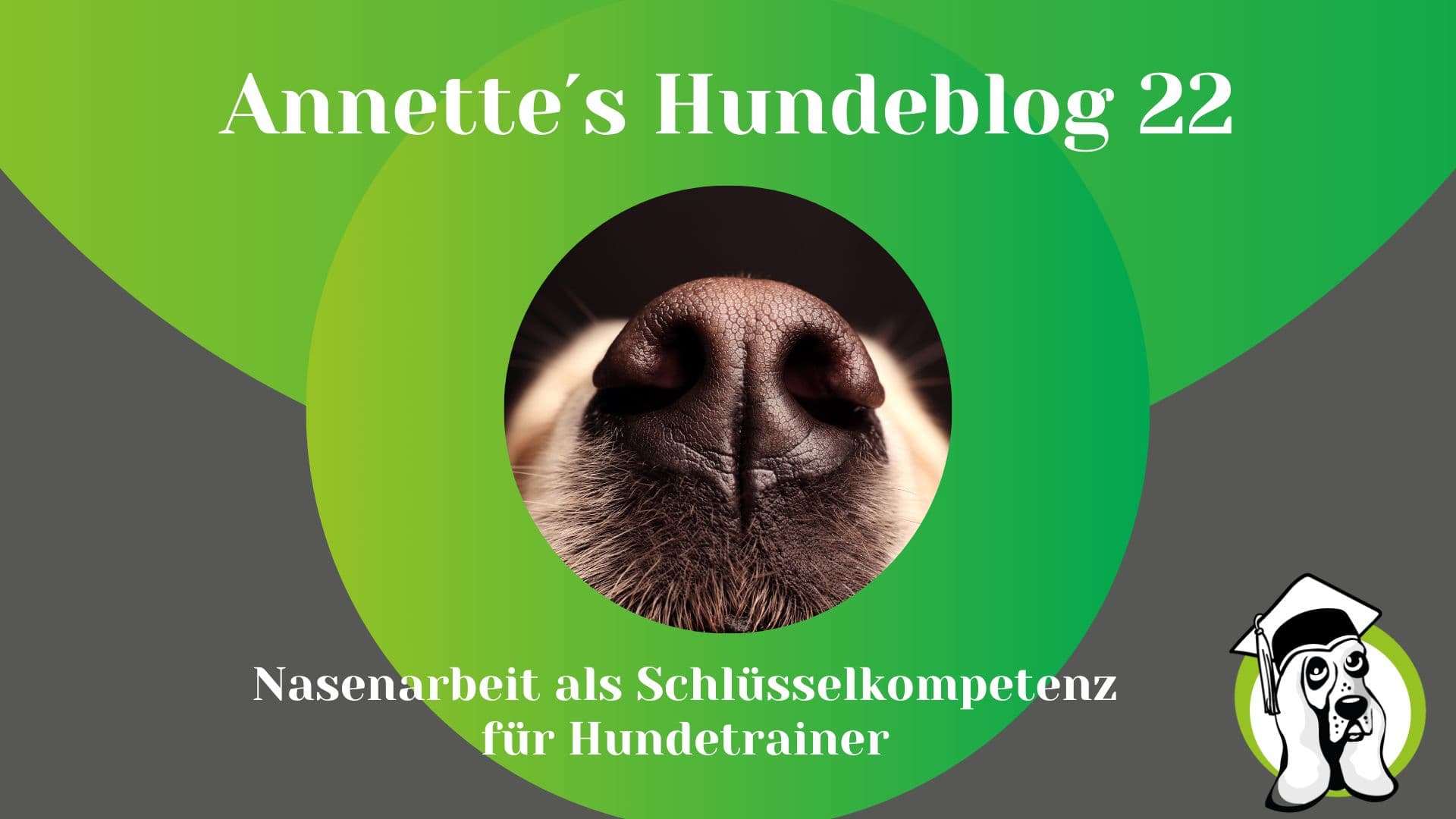 Blog-Profi-15.jpg