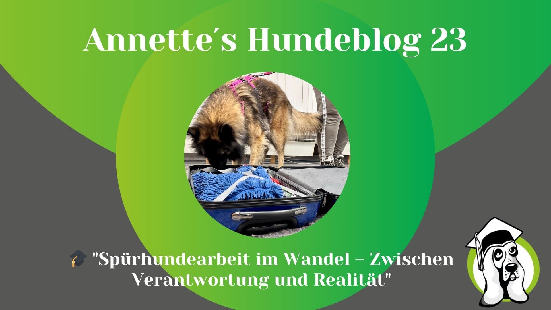 Blog-Profi-16.jpg