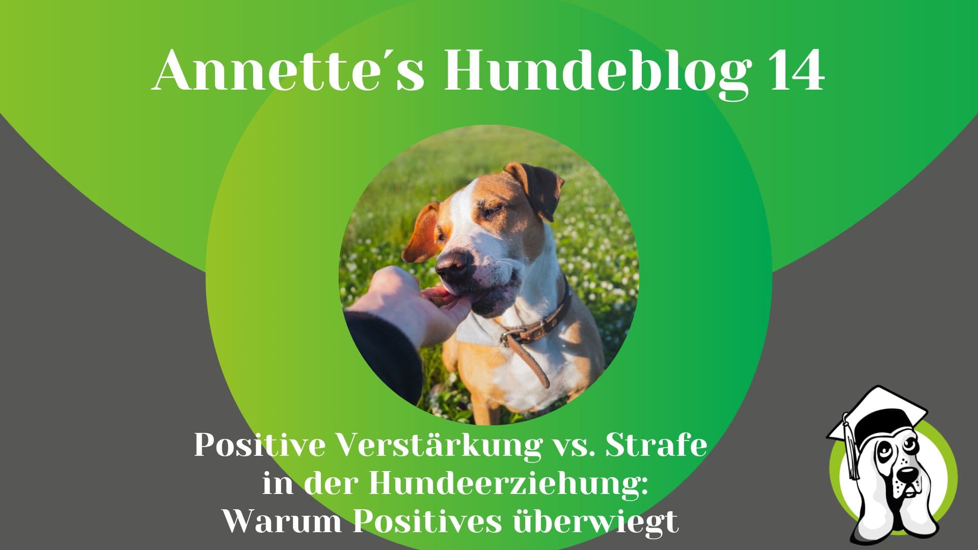 Blog-Profi-6.jpg