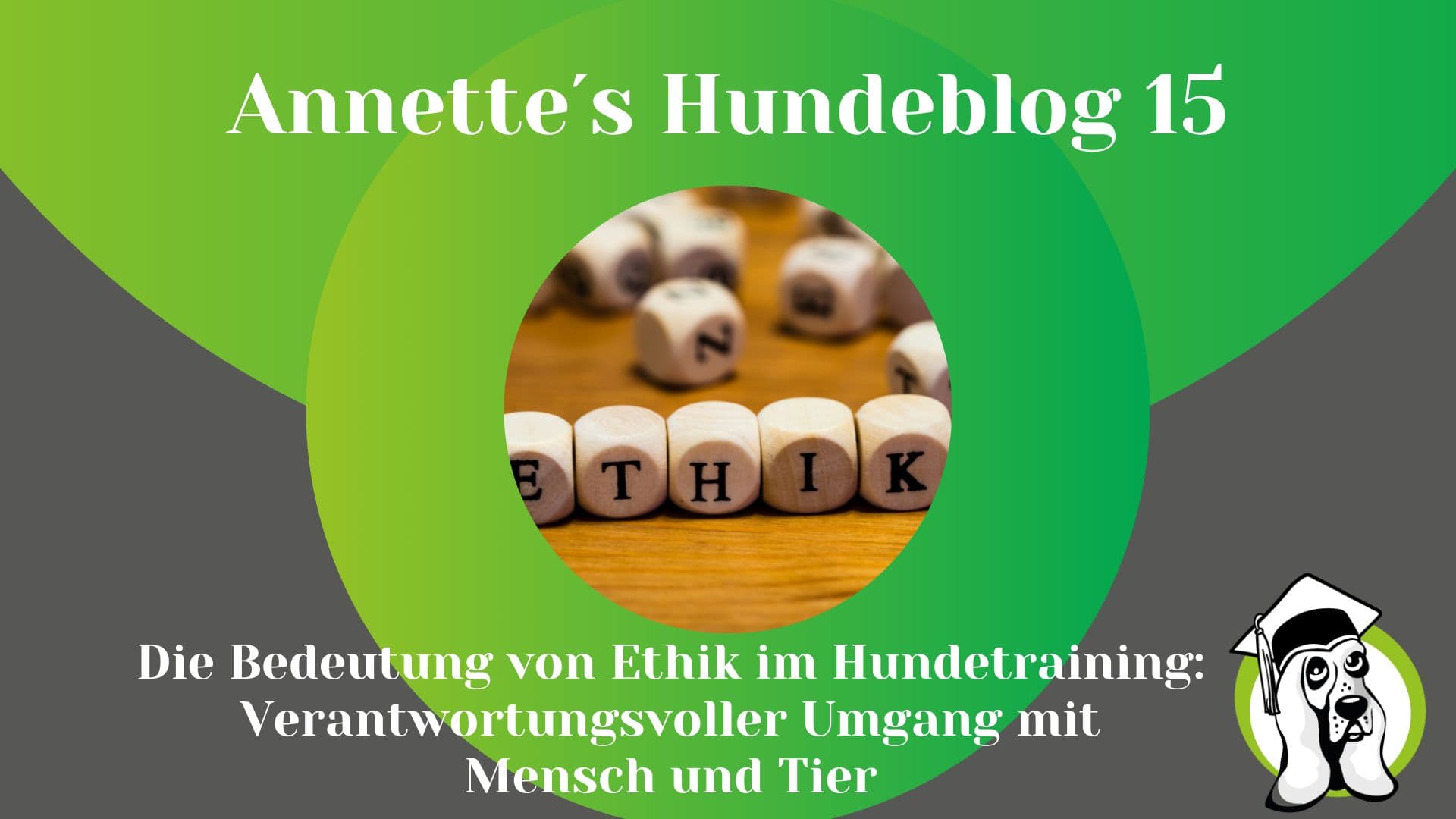 Blog-Profi-7.jpg