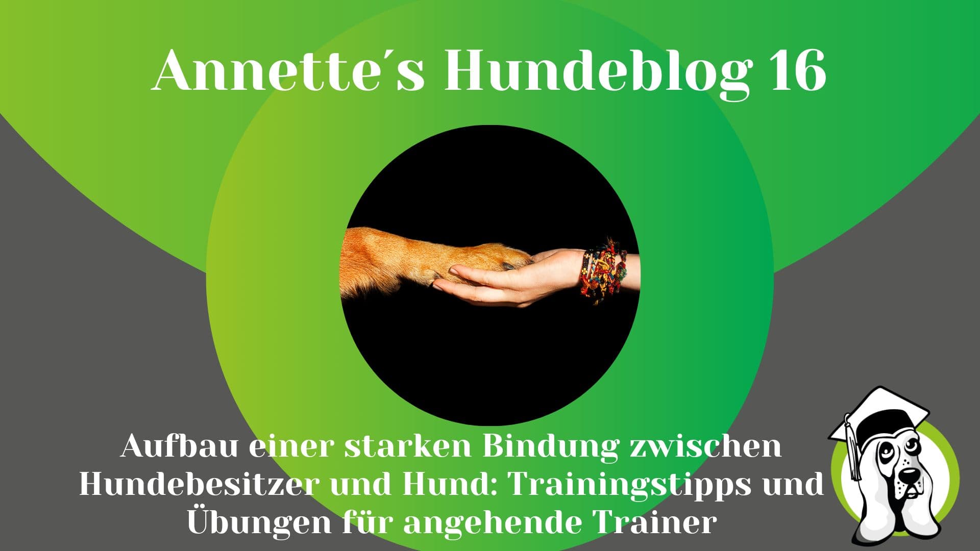 Blog-Profi-8.jpg