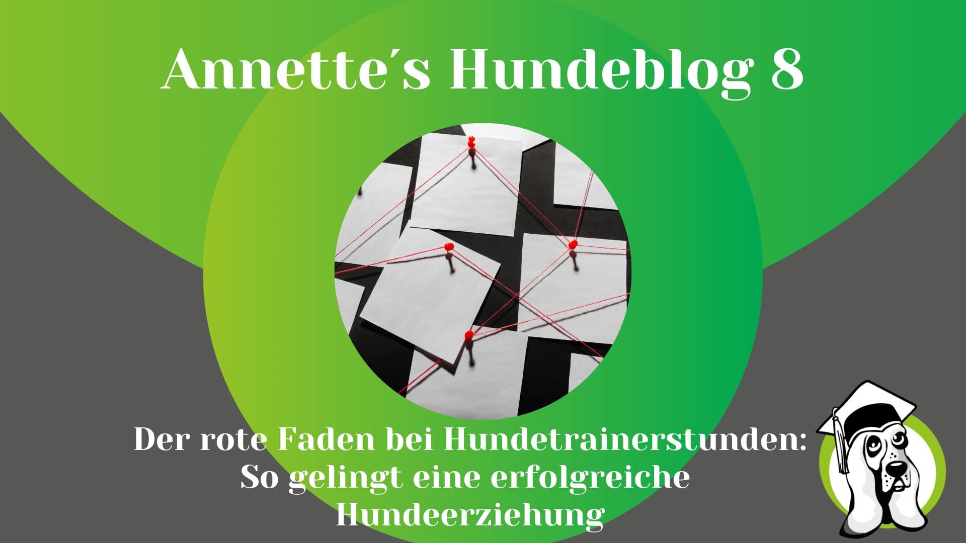 Blog-Profi.jpg