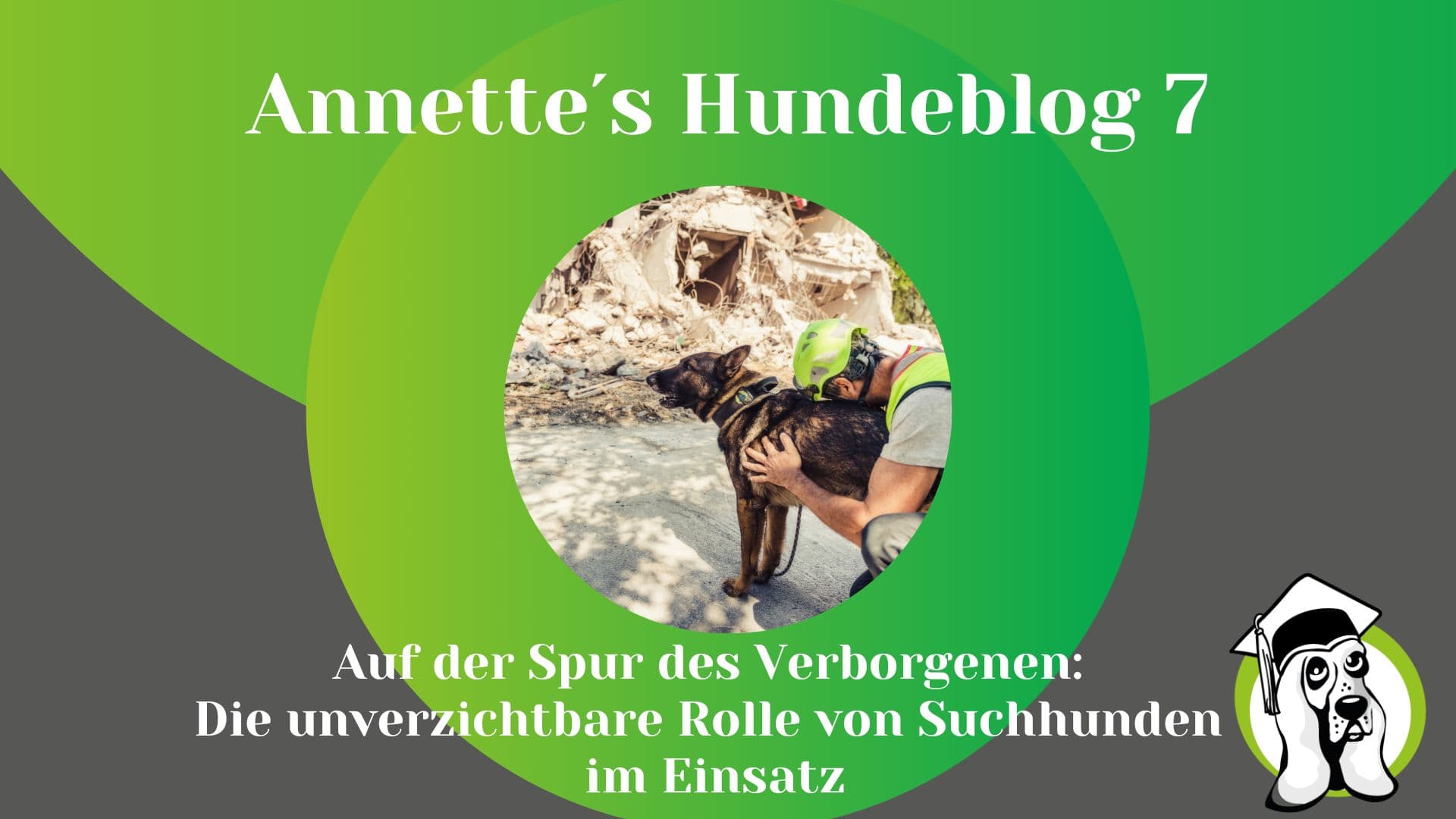 Blog-Profi-4.jpg
