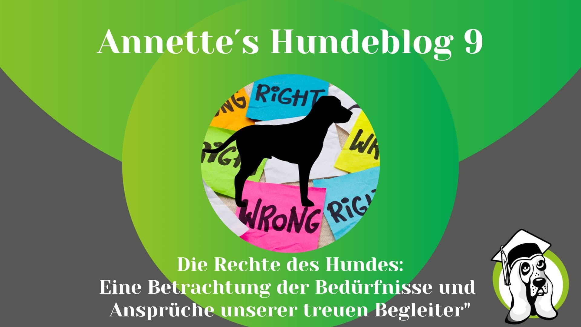 Blog-Profi-1.jpg