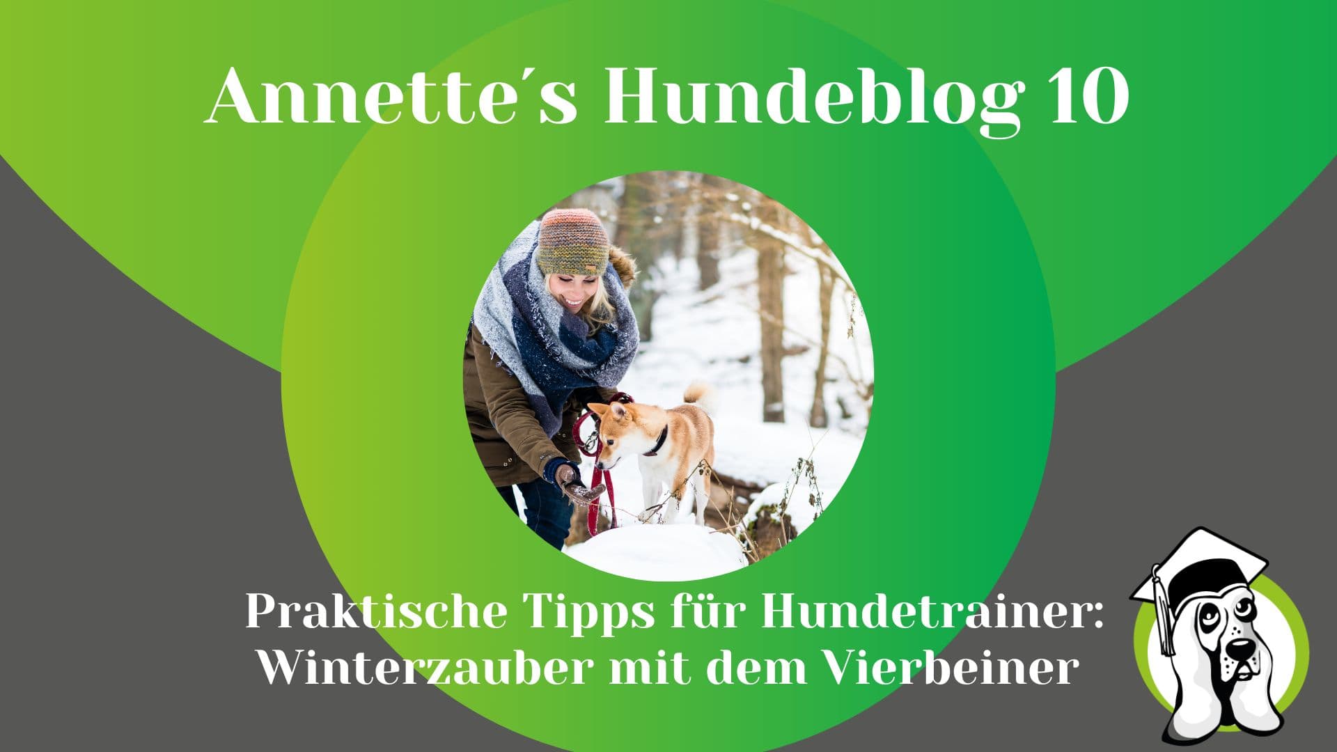 Blog-Profi-2.jpg