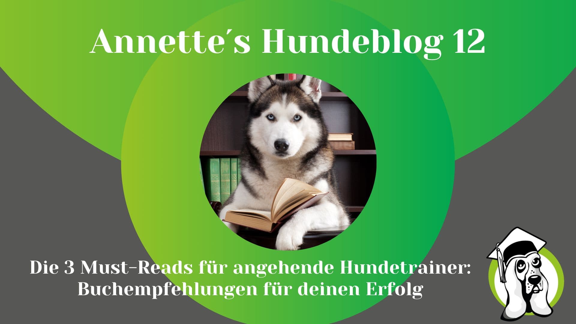 Blog-Profi-4.jpg