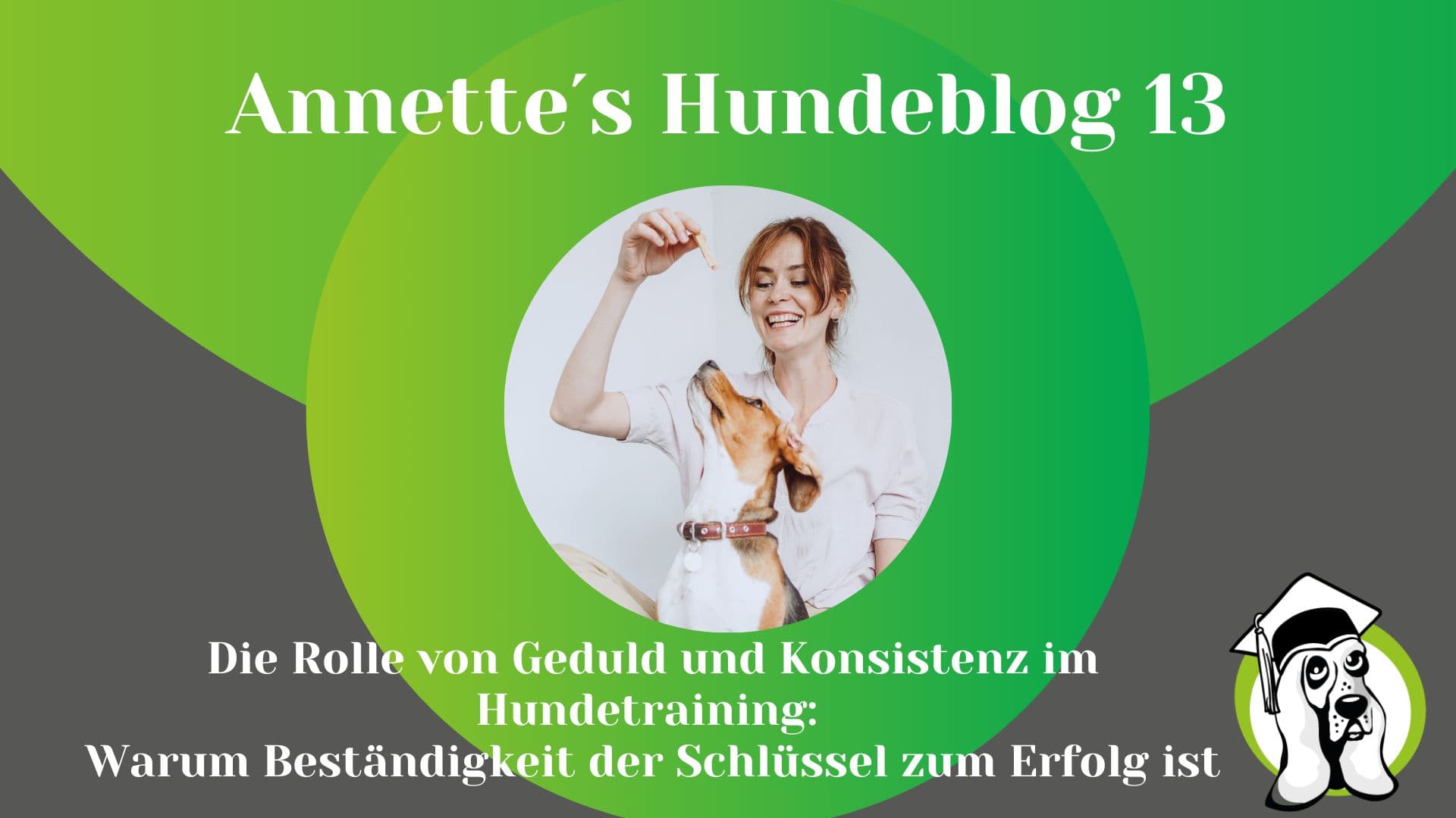 Blog-Profi-5.jpg