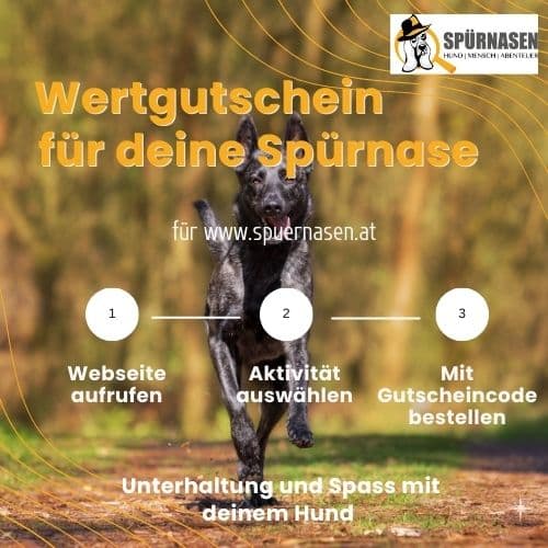 Gutschein