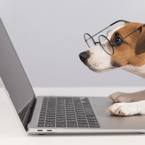 Theorie online lernen