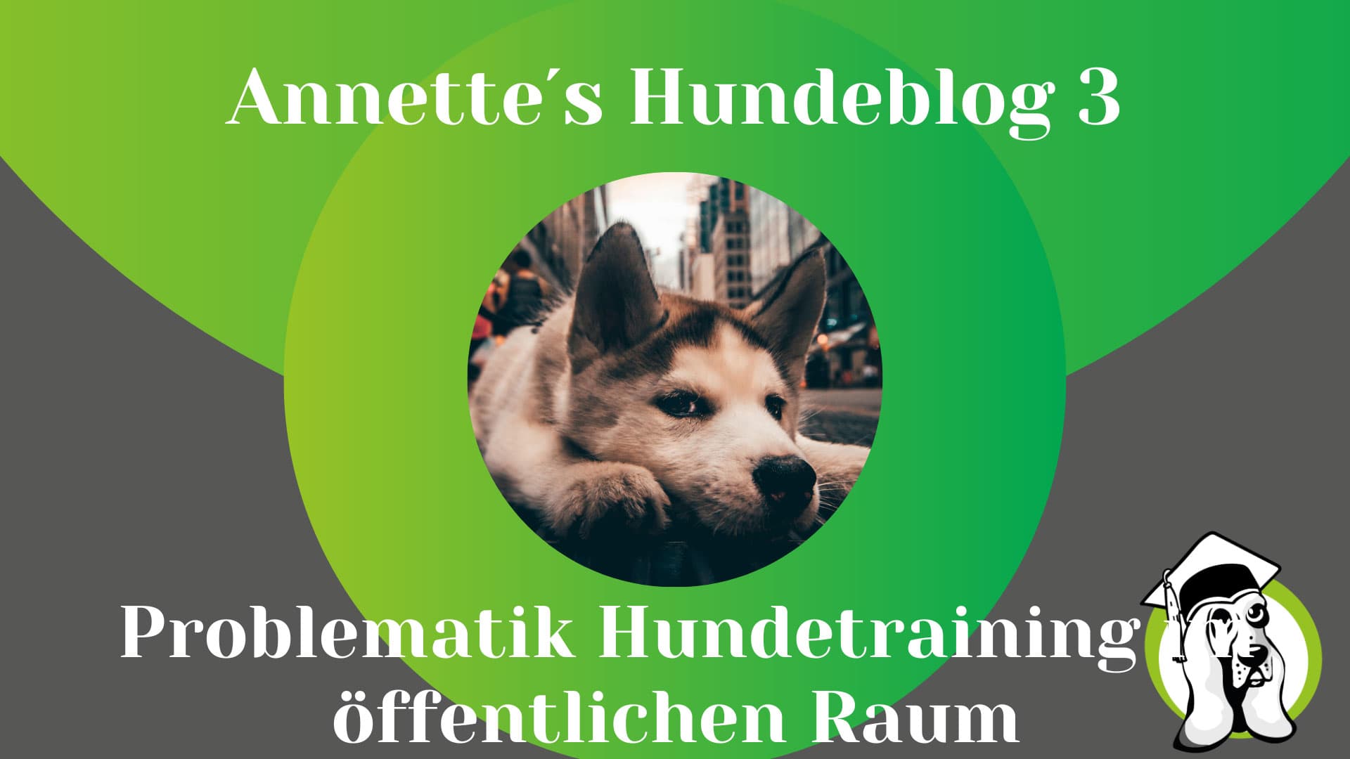 Problematik-Hundetraining.jpg
