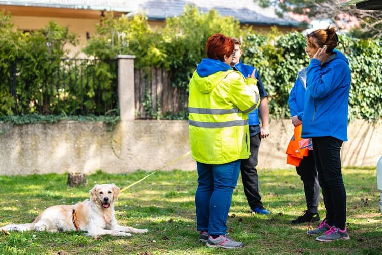 Ausbildung zum zertifizierten Spür- und Suchhundetrainer