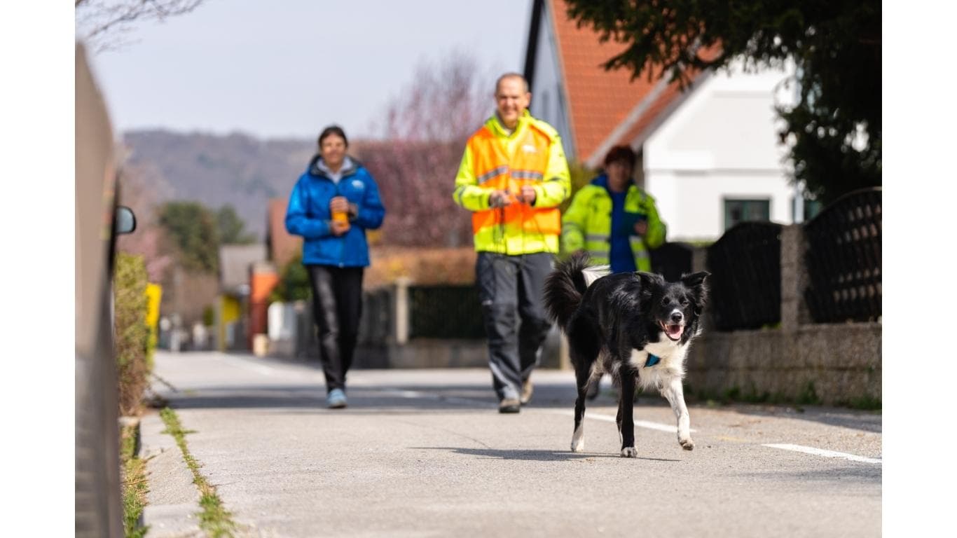 Pefekte Vorbereitung