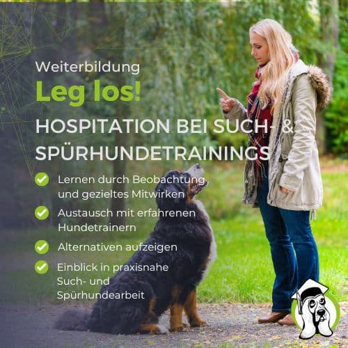 Praxisangebot für Hundetrainer: Hospitation