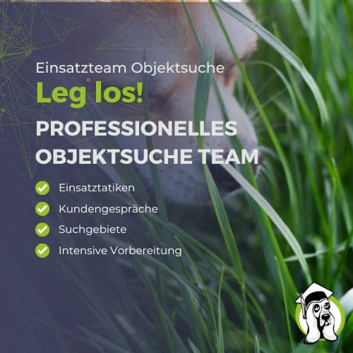 Objektsuche Profi / Einsatz