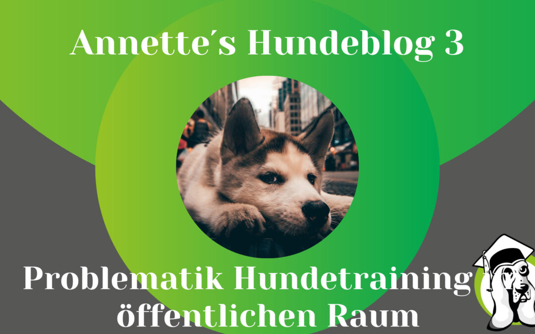 Hundetraining im öffentlichen Raum