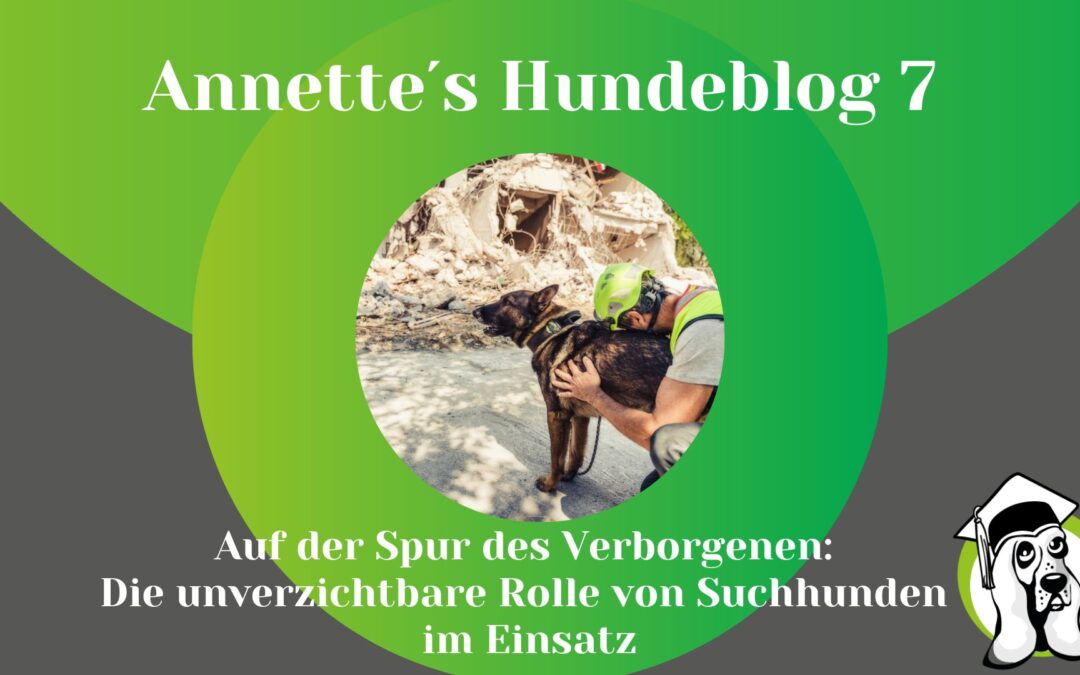 Auf der Spur des Verborgenen: Die unverzichtbare Rolle von Suchhunden im Einsatz