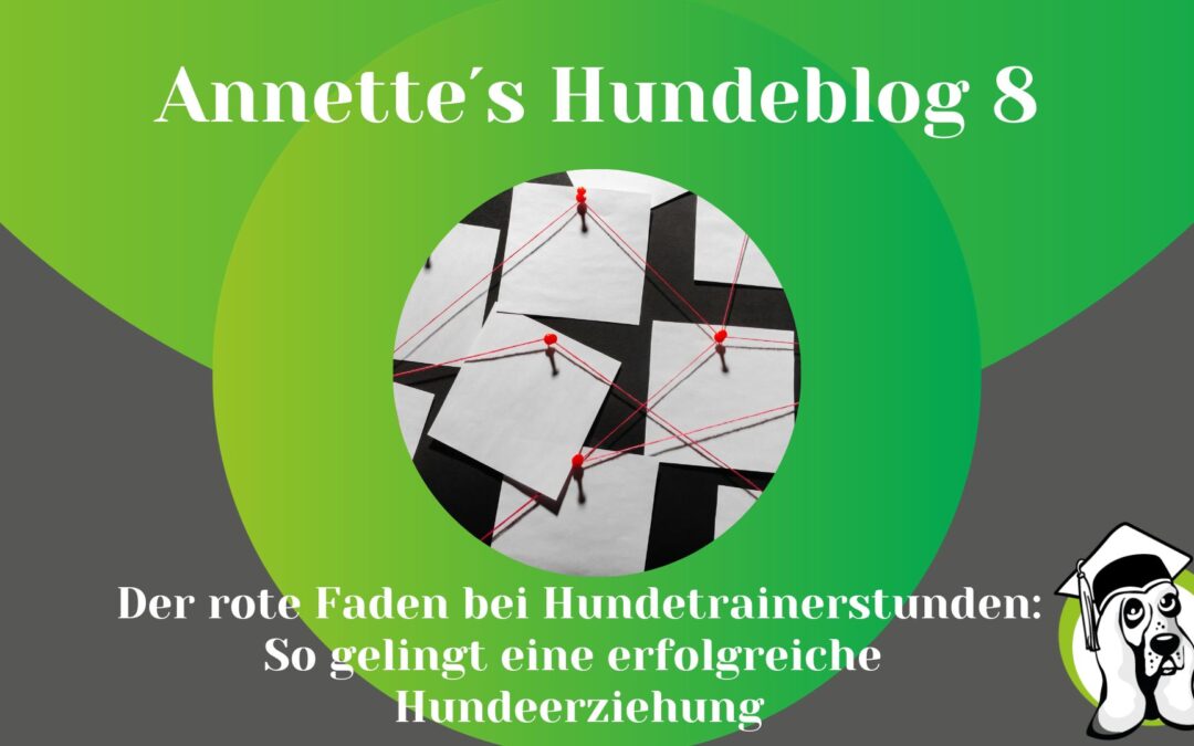 Der rote Faden bei Hundetrainerstunden: So gelingt eine erfolgreiche Hundeerziehung