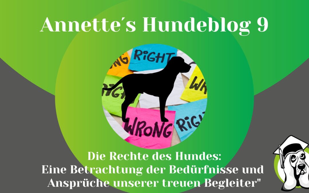 Die Rechte des Hundes: Eine Betrachtung der Bedürfnisse und Ansprüche unserer treuen Begleiter