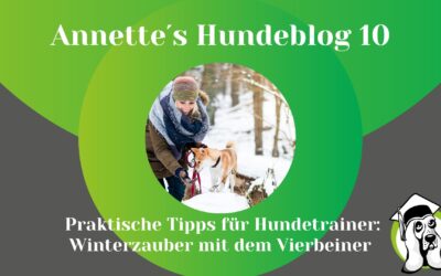 Winterzauber mit dem Vierbeiner: Praktische Tipps und Spaß im Schnee für Hundetrainer