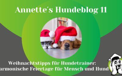 Weihnachtliche Harmonie – Tipps für Hundetrainer in der Festtagszeit
