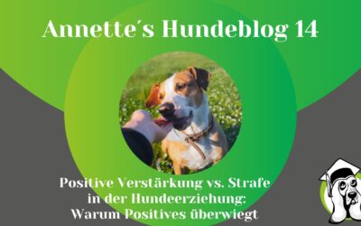 Positive Verstärkung vs. Strafe in der Hundeerziehung: Warum Positives überwiegt