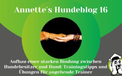 Aufbau einer starken Bindung zwischen Hundebesitzer und Hund: Trainingstipps für angehende Trainer