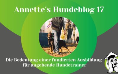 Die Bedeutung einer fundierten Ausbildung für angehende Hundetrainer