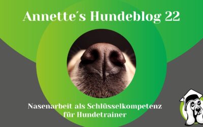 Nasenarbeit als Schlüsselkompetenz für Hundetrainer in Ausbildung