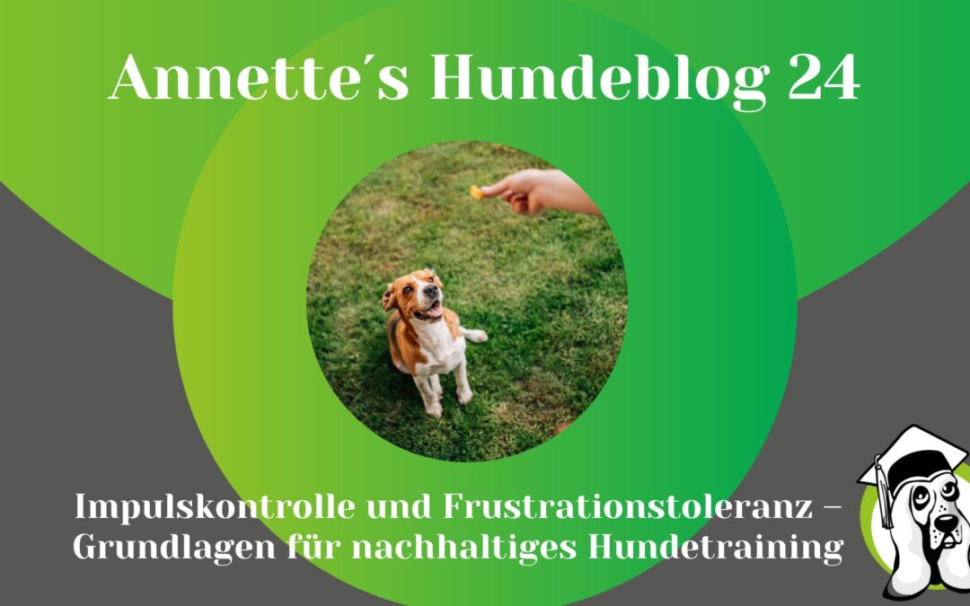 Impulskontrolle und Frustrationstoleranz – Grundlagen für nachhaltiges Hundetraining
